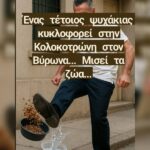 Κακοποίηση ζώων και ακτιβισμός - Η αδέσμευτη φωνή των τετράποδων