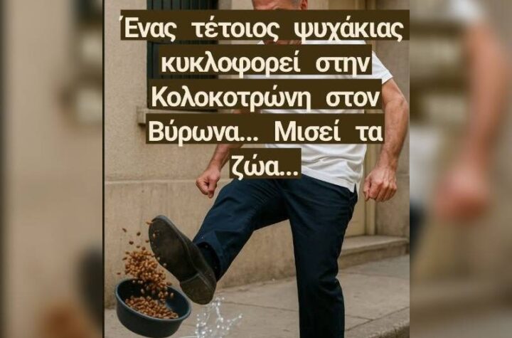 Κακοποίηση ζώων και ακτιβισμός - Η αδέσμευτη φωνή των τετράποδων