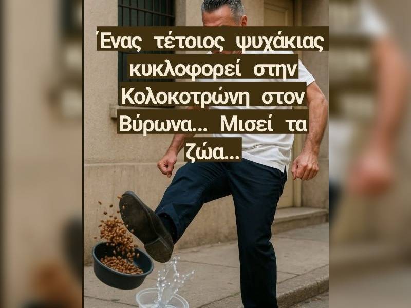 Κακοποίηση ζώων και ακτιβισμός - Η αδέσμευτη φωνή των τετράποδων