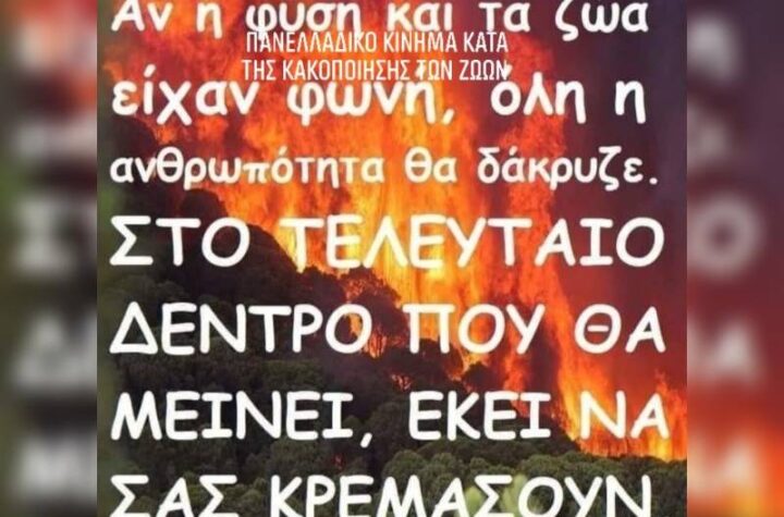Κακοποίηση ζώων και ακτιβισμός - Η αδέσμευτη φωνή των τετράποδων
