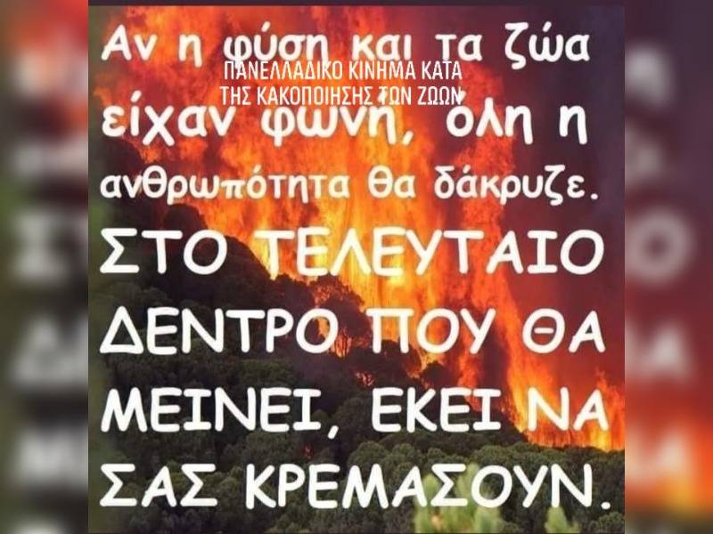 Κακοποίηση ζώων και ακτιβισμός - Η αδέσμευτη φωνή των τετράποδων