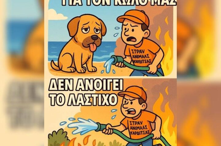 Κακοποίηση ζώων και ακτιβισμός - Η αδέσμευτη φωνή των τετράποδων