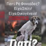 Κακοποίηση ζώων και ακτιβισμός - Η αδέσμευτη φωνή των τετράποδων