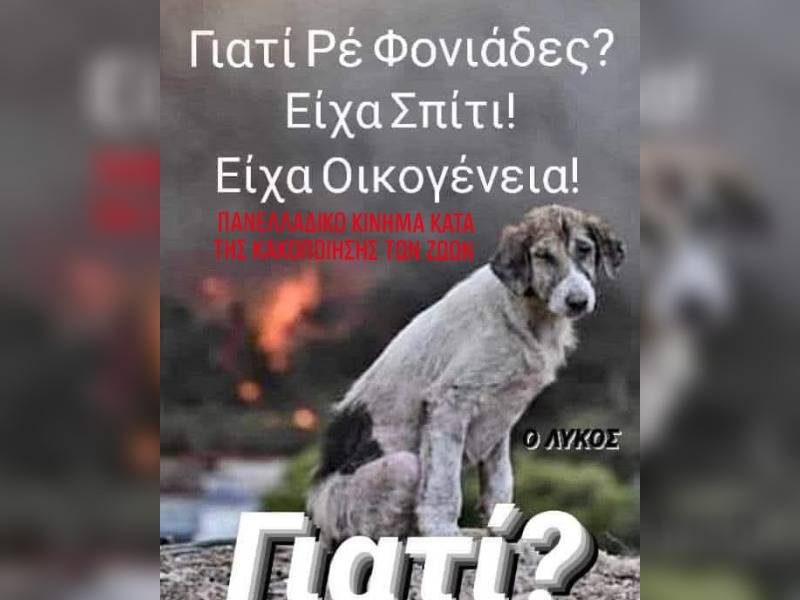 Κακοποίηση ζώων και ακτιβισμός - Η αδέσμευτη φωνή των τετράποδων