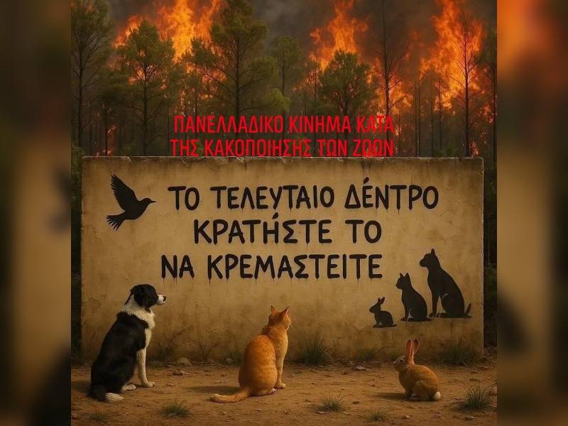 Κακοποίηση ζώων και ακτιβισμός - Η αδέσμευτη φωνή των τετράποδων