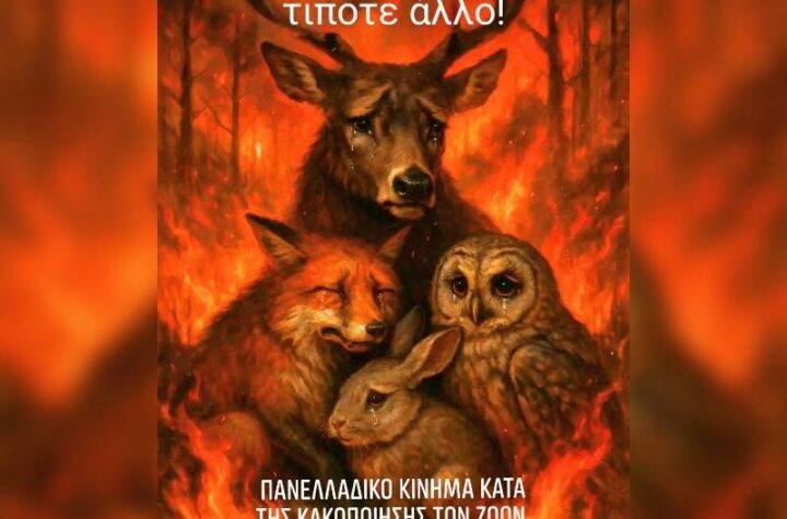 Κακοποίηση ζώων και ακτιβισμός - Η αδέσμευτη φωνή των τετράποδων