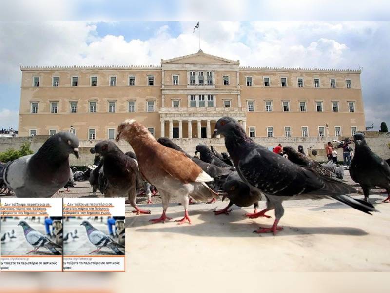 Κακοποίηση ζώων και ακτιβισμός - Η αδέσμευτη φωνή των τετράποδων