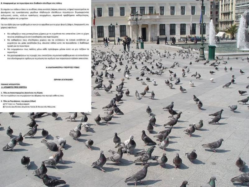 Κακοποίηση ζώων και ακτιβισμός - Η αδέσμευτη φωνή των τετράποδων