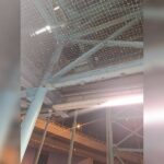 Κακοποίηση ζώων και ακτιβισμός - Η αδέσμευτη φωνή των τετράποδων