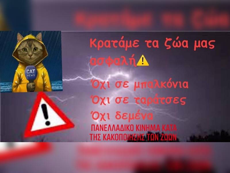 Κακοποίηση ζώων και ακτιβισμός - Η αδέσμευτη φωνή των τετράποδων