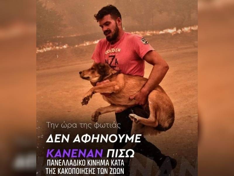 Κακοποίηση ζώων και ακτιβισμός - Η αδέσμευτη φωνή των τετράποδων