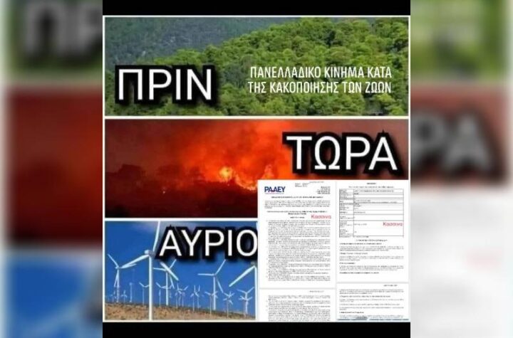 Κακοποίηση ζώων και ακτιβισμός - Η αδέσμευτη φωνή των τετράποδων