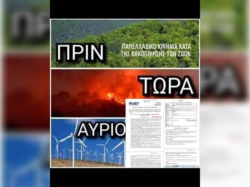 Κακοποίηση ζώων και ακτιβισμός - Η αδέσμευτη φωνή των τετράποδων