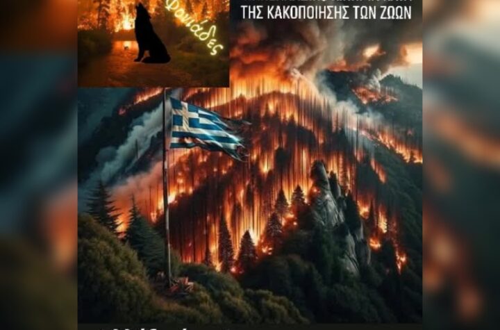 Κακοποίηση ζώων και ακτιβισμός - Η αδέσμευτη φωνή των τετράποδων