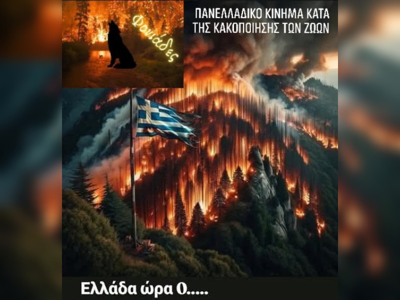 Κακοποίηση ζώων και ακτιβισμός - Η αδέσμευτη φωνή των τετράποδων
