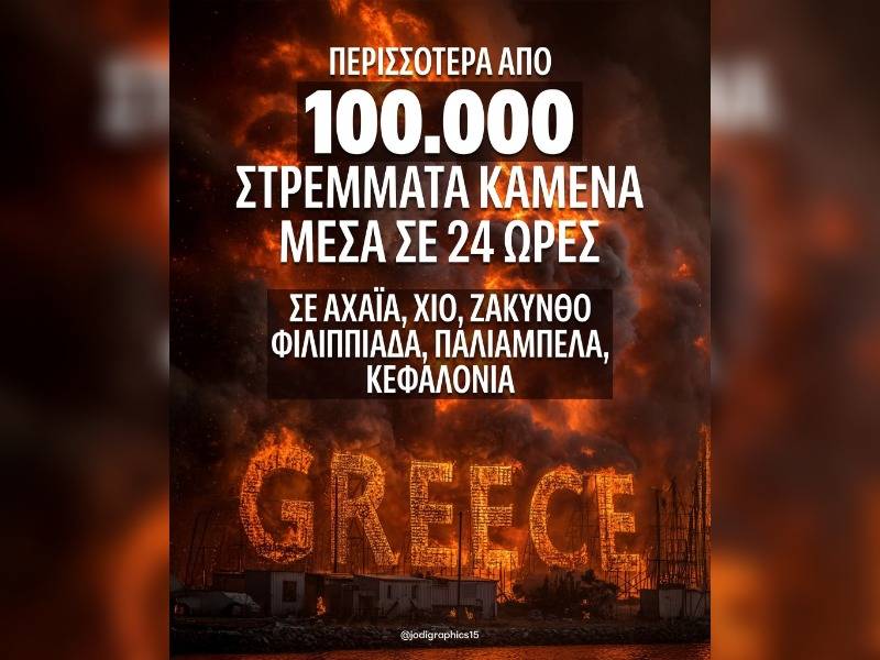 Κακοποίηση ζώων και ακτιβισμός - Η αδέσμευτη φωνή των τετράποδων