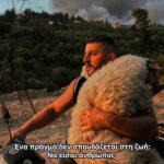 Παρέμβαση φιλόζωων για το ακραίο λεκτικό “πέσιμο ” βιγκαν σε εθελοντή διασωστη ζώων στις μεγάλες πυρκαγιές της Πάτρας