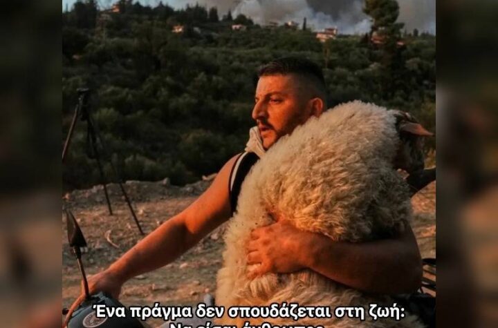 Κακοποίηση ζώων και ακτιβισμός - Η αδέσμευτη φωνή των τετράποδων