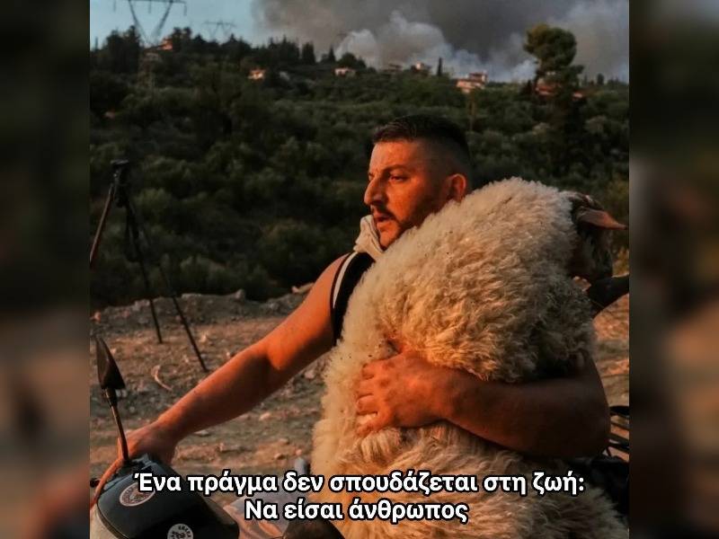 Κακοποίηση ζώων και ακτιβισμός - Η αδέσμευτη φωνή των τετράποδων