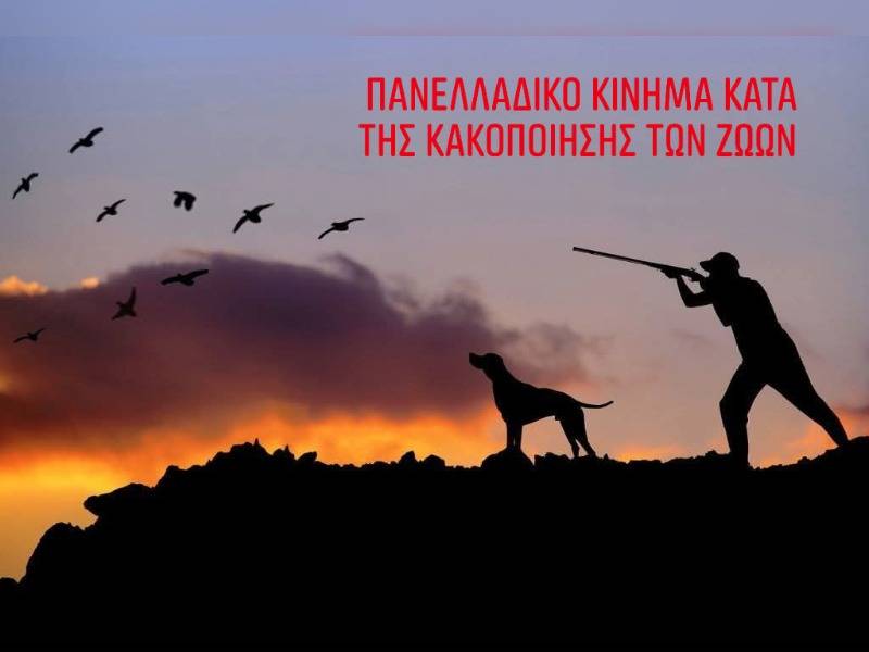 Κακοποίηση ζώων και ακτιβισμός - Η αδέσμευτη φωνή των τετράποδων