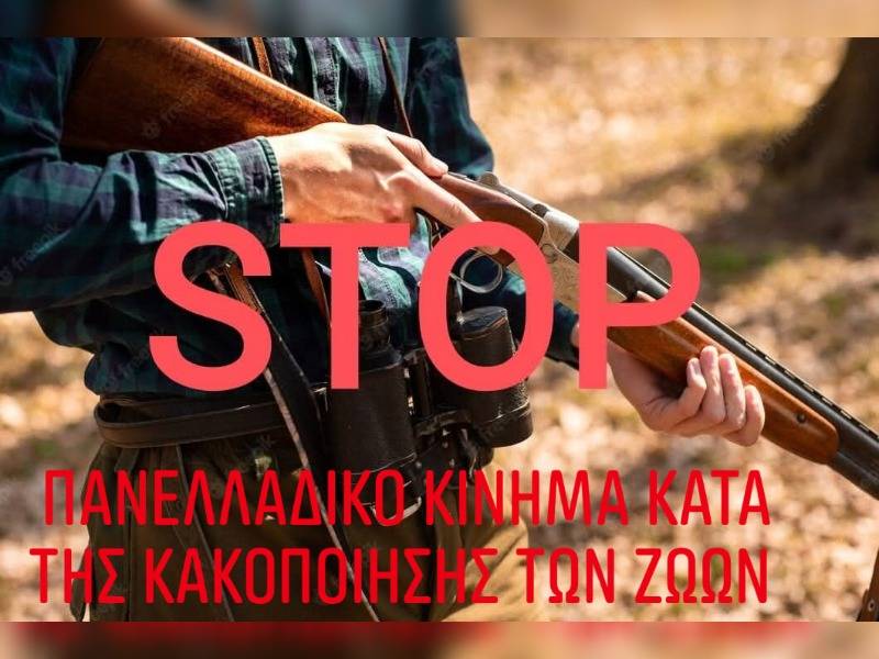 Κακοποίηση ζώων και ακτιβισμός - Η αδέσμευτη φωνή των τετράποδων