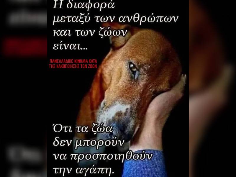 Κακοποίηση ζώων και ακτιβισμός - Η αδέσμευτη φωνή των τετράποδων