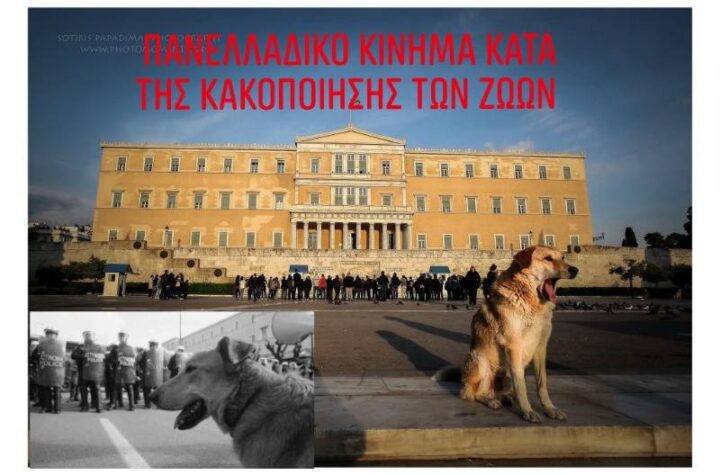 Κακοποίηση ζώων και ακτιβισμός - Η αδέσμευτη φωνή των τετράποδων