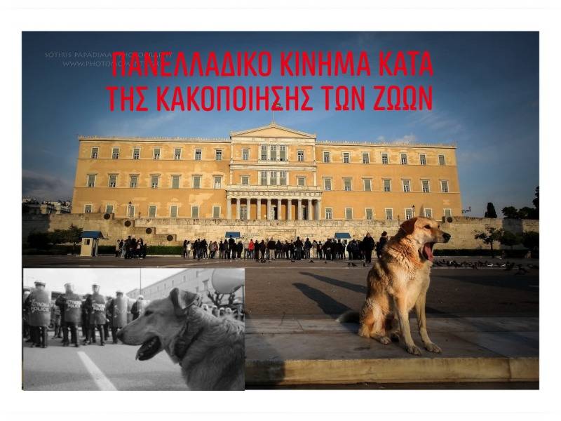 Κακοποίηση ζώων και ακτιβισμός - Η αδέσμευτη φωνή των τετράποδων