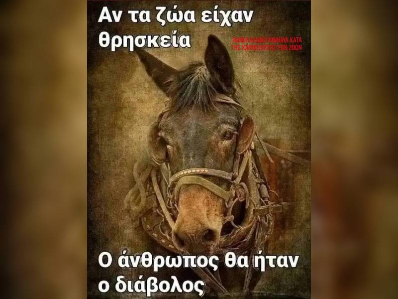 Κακοποίηση ζώων και ακτιβισμός - Η αδέσμευτη φωνή των τετράποδων