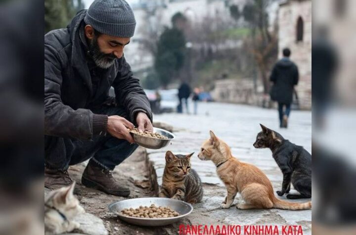 Κακοποίηση ζώων και ακτιβισμός - Η αδέσμευτη φωνή των τετράποδων