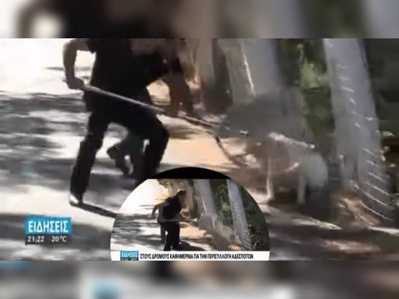 Κακοποίηση ζώων και ακτιβισμός - Η αδέσμευτη φωνή των τετράποδων