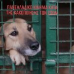 Κακοποίηση ζώων και ακτιβισμός - Η αδέσμευτη φωνή των τετράποδων