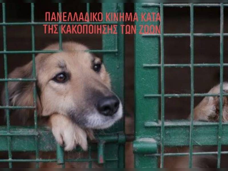 Κακοποίηση ζώων και ακτιβισμός - Η αδέσμευτη φωνή των τετράποδων