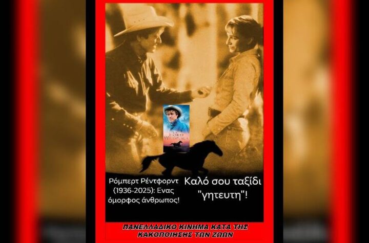 Κακοποίηση ζώων και ακτιβισμός - Η αδέσμευτη φωνή των τετράποδων