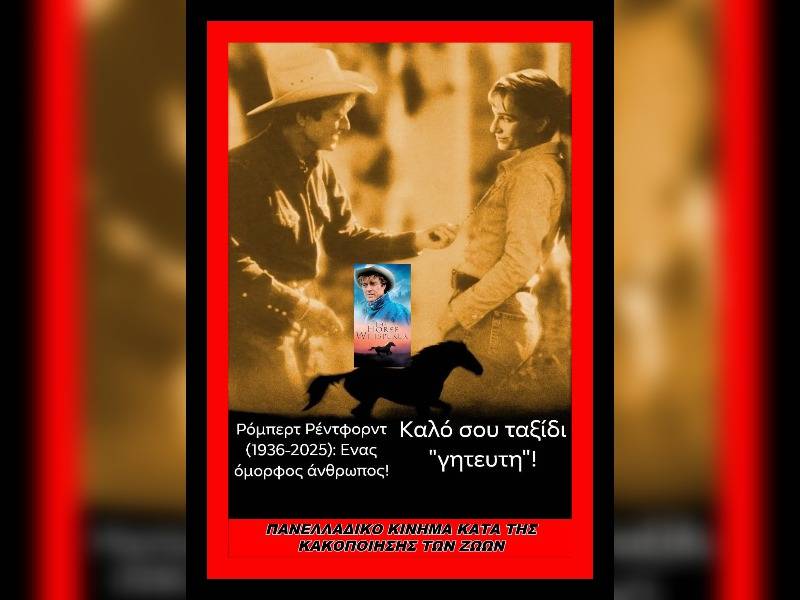 Κακοποίηση ζώων και ακτιβισμός - Η αδέσμευτη φωνή των τετράποδων