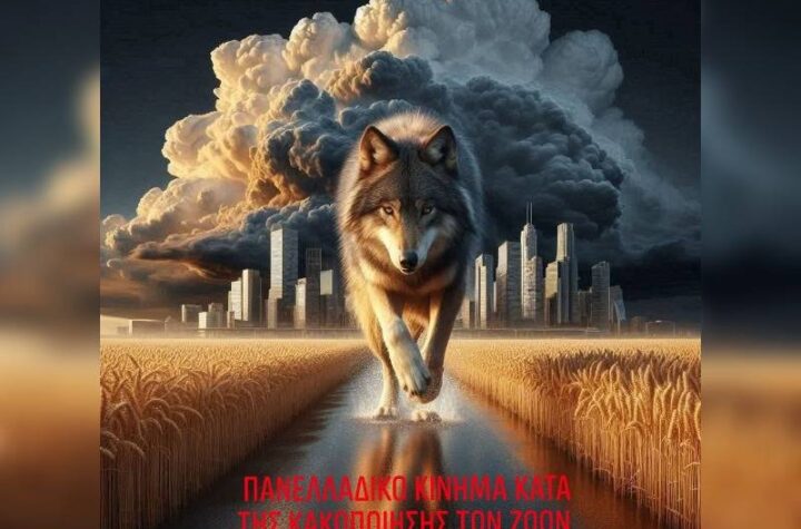 Κακοποίηση ζώων και ακτιβισμός - Η αδέσμευτη φωνή των τετράποδων