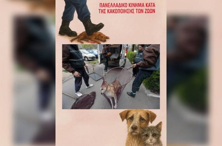 Κακοποίηση ζώων και ακτιβισμός - Η αδέσμευτη φωνή των τετράποδων