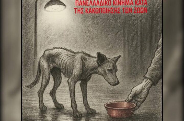 Κακοποίηση ζώων και ακτιβισμός - Η αδέσμευτη φωνή των τετράποδων
