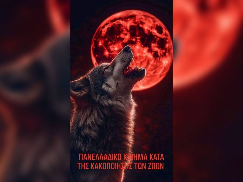 Κακοποίηση ζώων και ακτιβισμός - Η αδέσμευτη φωνή των τετράποδων