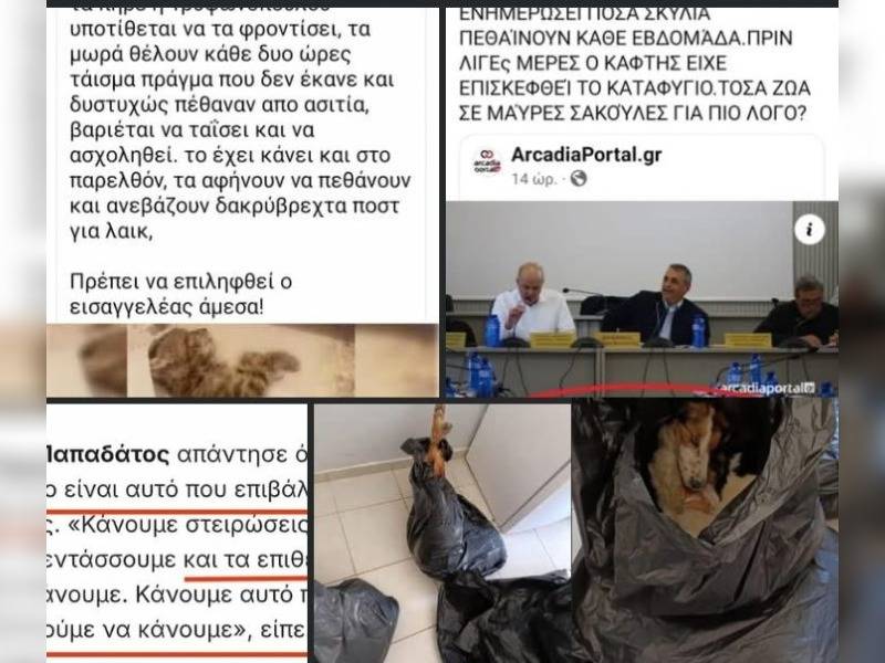 Κακοποίηση ζώων και ακτιβισμός - Η αδέσμευτη φωνή των τετράποδων