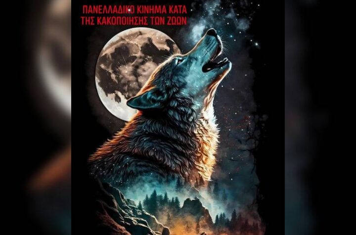 Κακοποίηση ζώων και ακτιβισμός - Η αδέσμευτη φωνή των τετράποδων