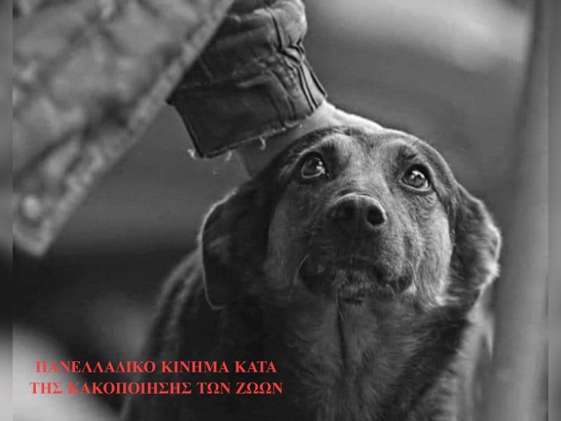 Κακοποίηση ζώων και ακτιβισμός - Η αδέσμευτη φωνή των τετράποδων