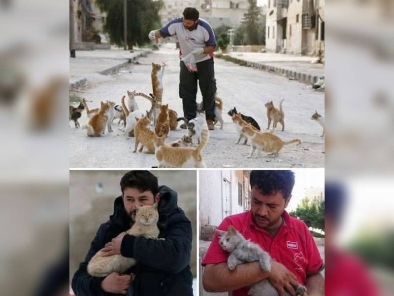 Κακοποίηση ζώων και ακτιβισμός - Η αδέσμευτη φωνή των τετράποδων