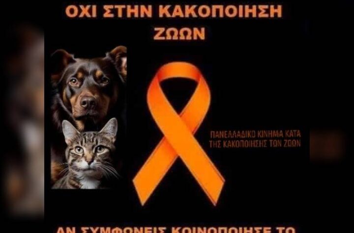 Κακοποίηση ζώων και ακτιβισμός - Η αδέσμευτη φωνή των τετράποδων