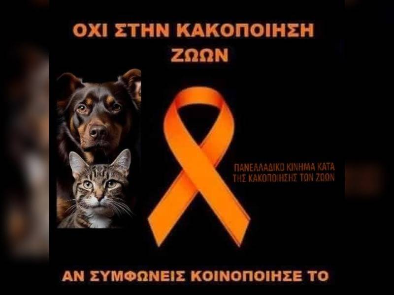 Κακοποίηση ζώων και ακτιβισμός - Η αδέσμευτη φωνή των τετράποδων