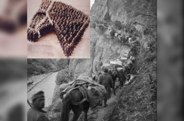 Κακοποίηση ζώων και ακτιβισμός - Η αδέσμευτη φωνή των τετράποδων