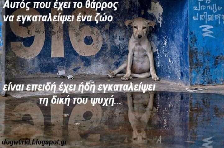 Κακοποίηση ζώων και ακτιβισμός - Η αδέσμευτη φωνή των τετράποδων