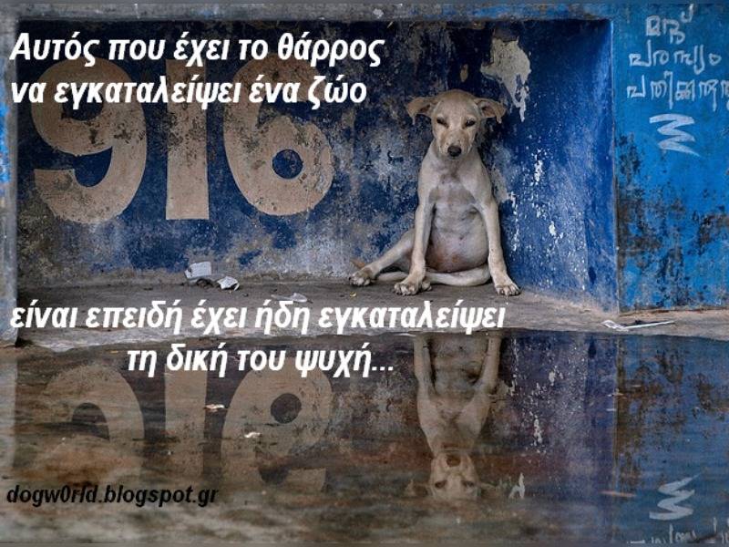 Κακοποίηση ζώων και ακτιβισμός - Η αδέσμευτη φωνή των τετράποδων