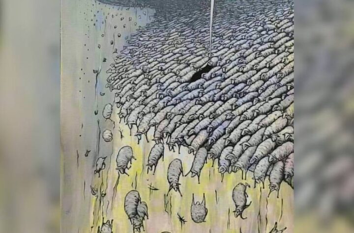 Κακοποίηση ζώων και ακτιβισμός - Η αδέσμευτη φωνή των τετράποδων