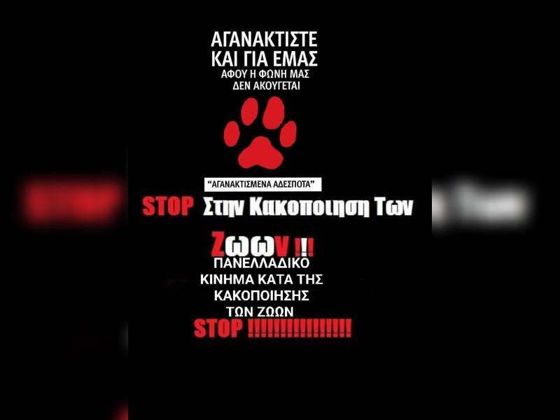 Κακοποίηση ζώων και ακτιβισμός - Η αδέσμευτη φωνή των τετράποδων